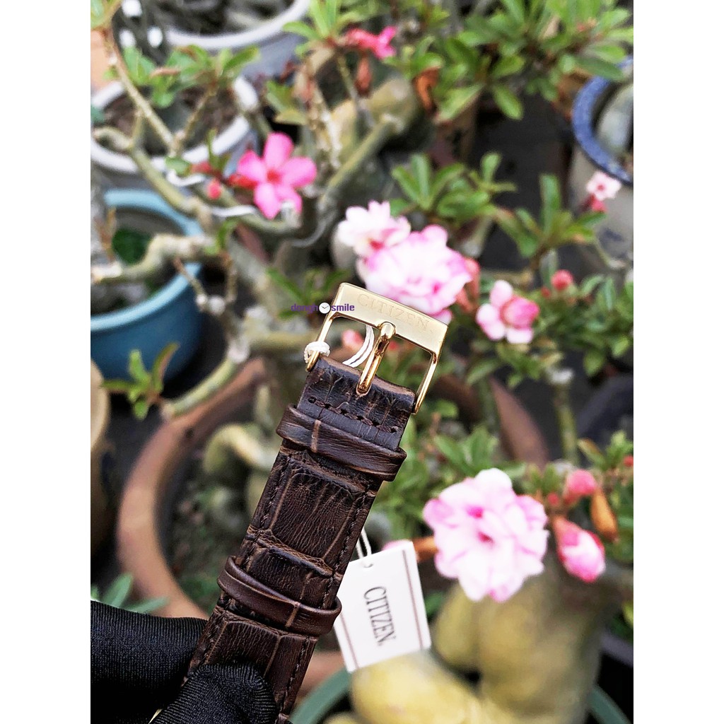 Đồng hồ nam Citizen 6 kim AG8353-05A