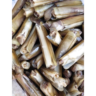 Ruột ốc móng tay làm sạch (hộp 500g)