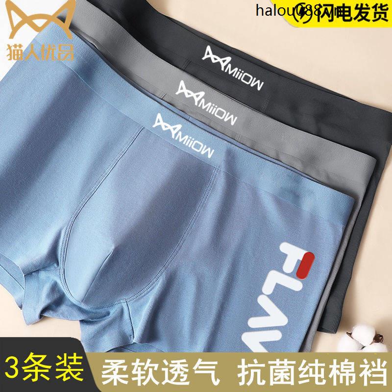 Cổ Phiếu Sẵn Sàng ◎Quần Lót cotton Kháng Khuẩn Thoáng Khí Cỡ Lớn Hình Mèo Trẻ Trung Cho Nam Sinh