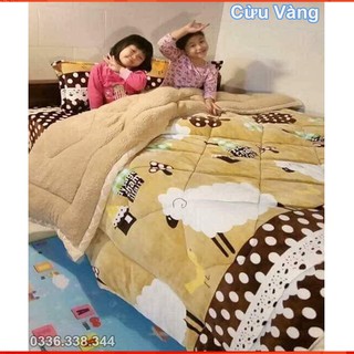 Chăn Lông Cừu Đại Hàn Cao Cấp Cỡ Lớn (Được chọn mẫu - ib với shop)