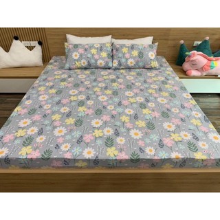 Combo 2 bo ga gối cotton m8