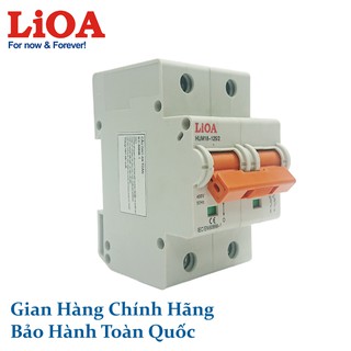 APTOMAT LiOA 2 Cực 100A (MCB2100/4,5 MCB2100/6 MCB2100/10)