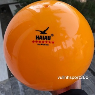 Bóng chuyền hơi Hải Âu 200g tặng kèm kim bơm [Ảnh thật]