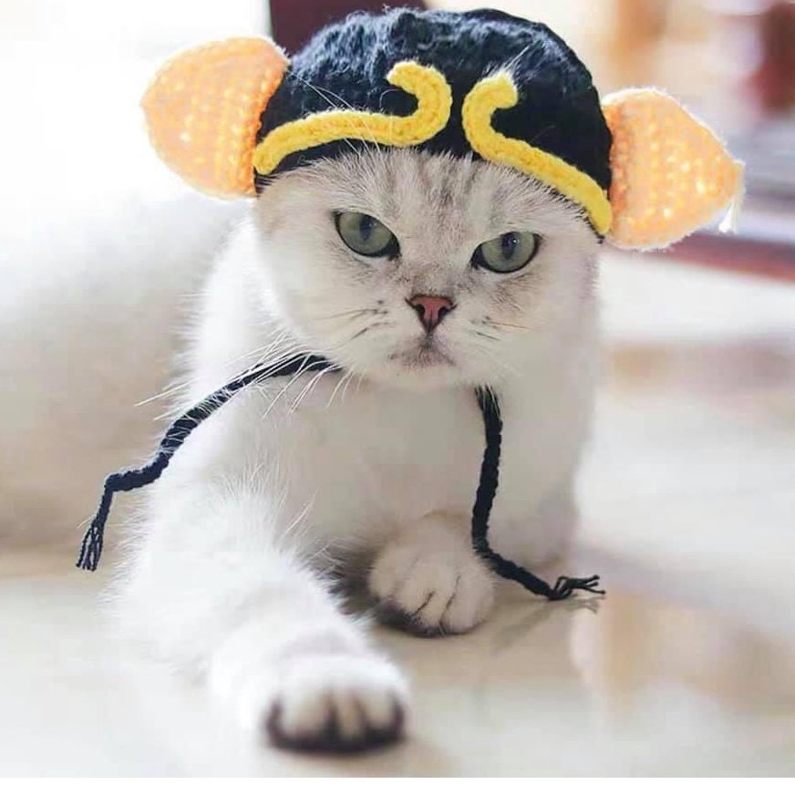 Nón len cho chó mèo đan móc hóa trang, mũ dễ thương đội cosplay thú cưng Con Mèo Xiêm