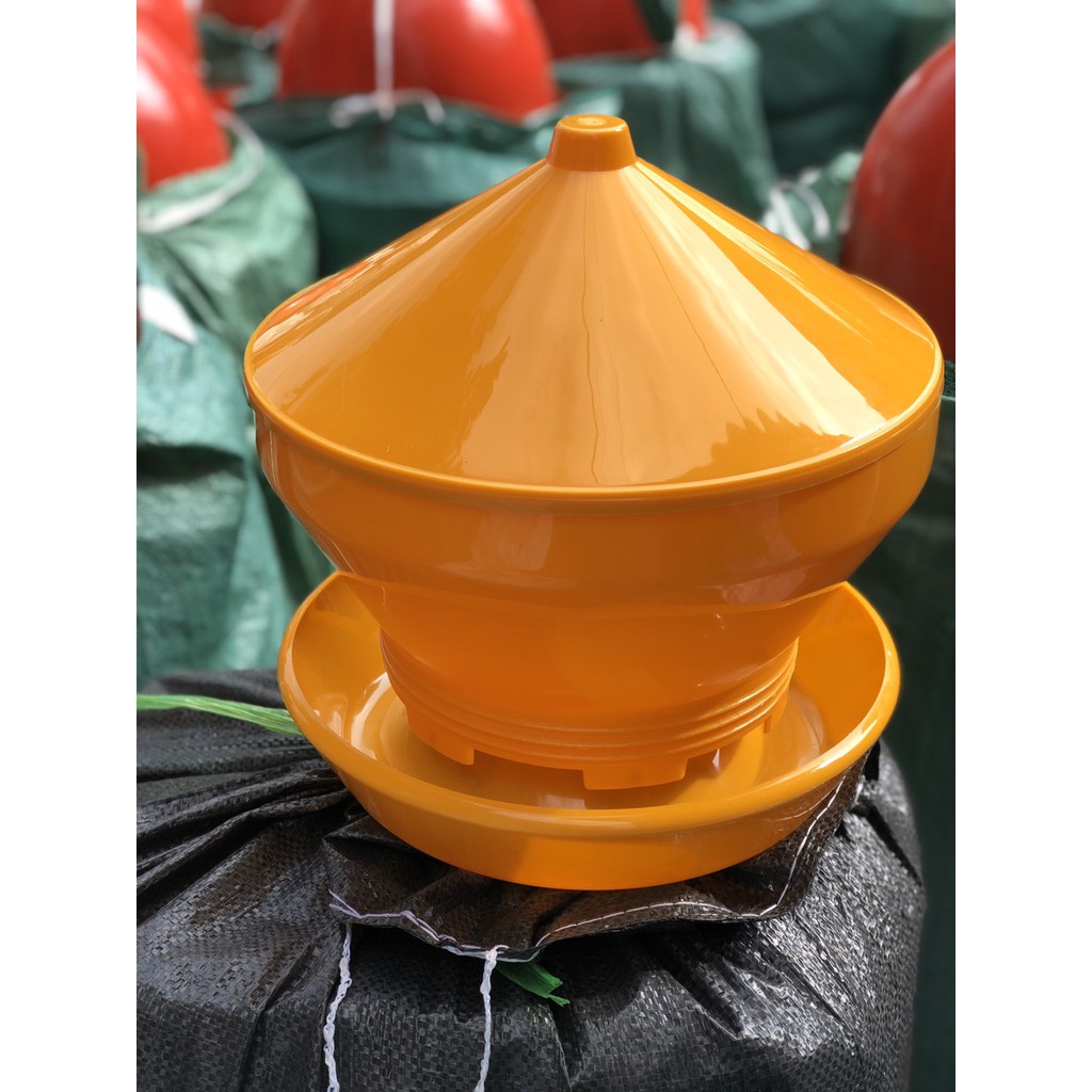Máng tập ăn gà con