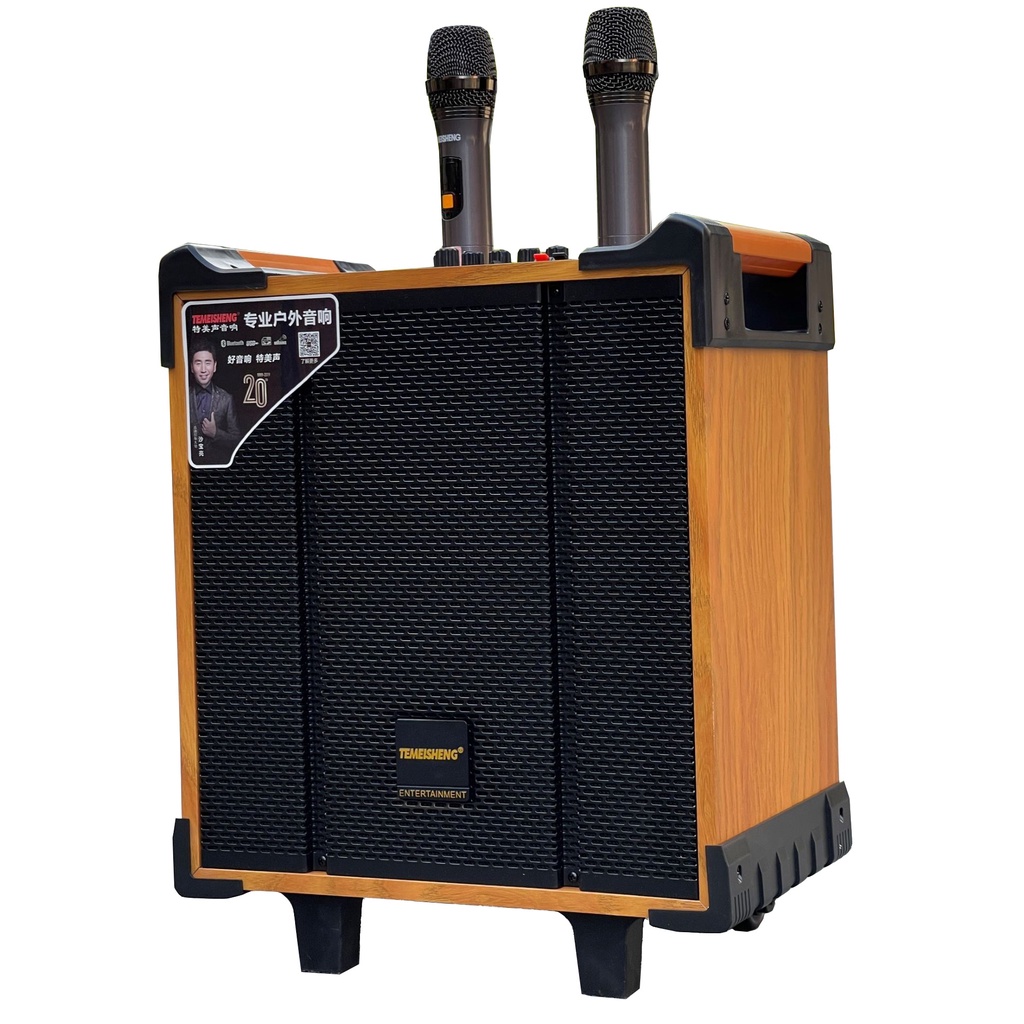 Loa kéo di động Temeisheng QX-0870