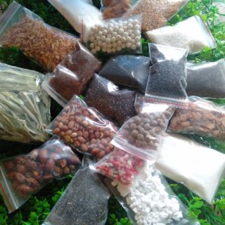 20 MÓN TỰ CHỌN THEO SỞ THÍCH { 50G}