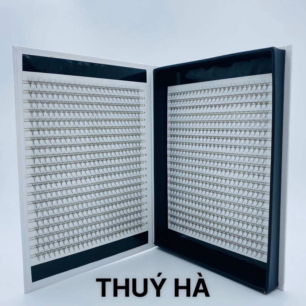 mi fan 6d hộp 40 dây 1000 fan _DỤNG CỤ NỐI MI_THÚY HÀ