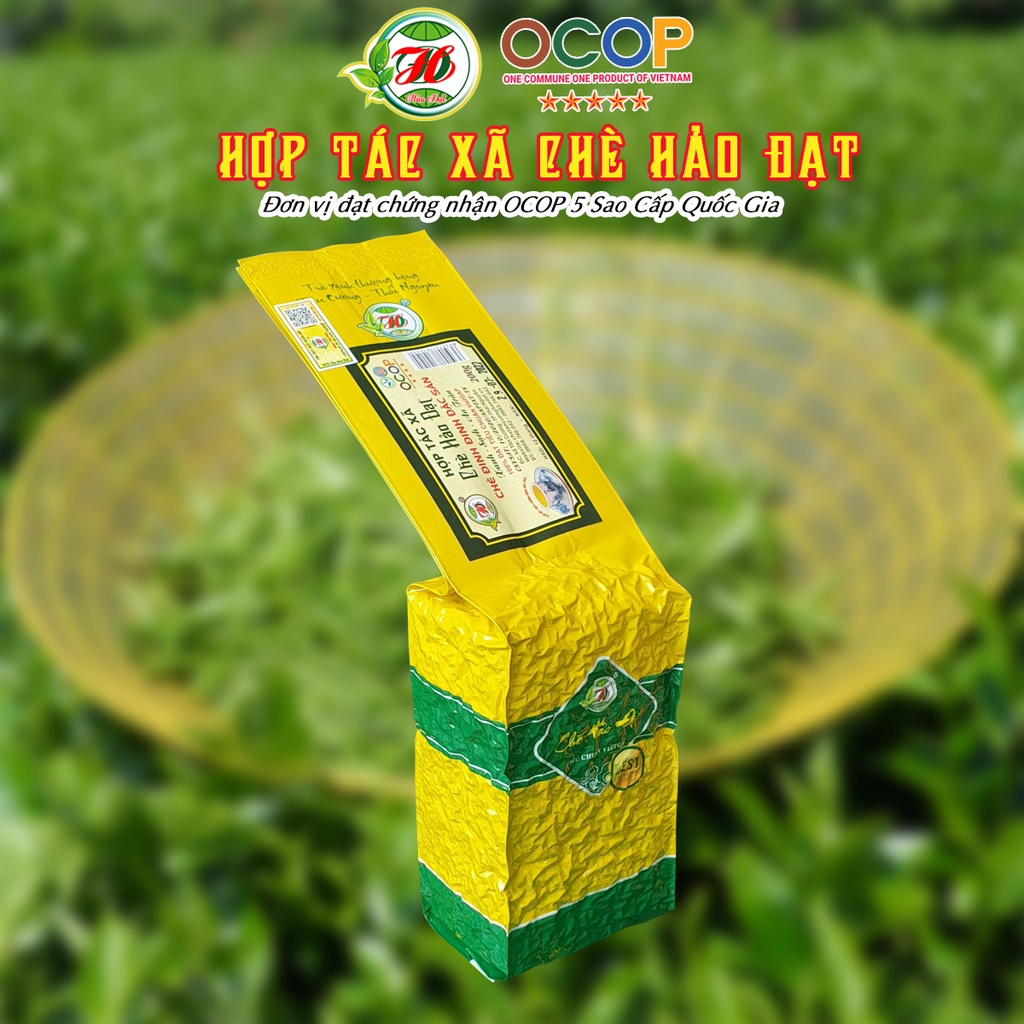 Chè Đinh Đặc Sản - Hợp Tác Xã Chè Hảo Đạt - Chè Tân Cương Thái Nguyên