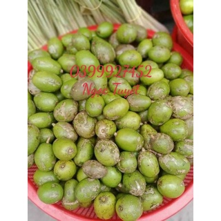 1kg Cóc thường ( chua ngọt)