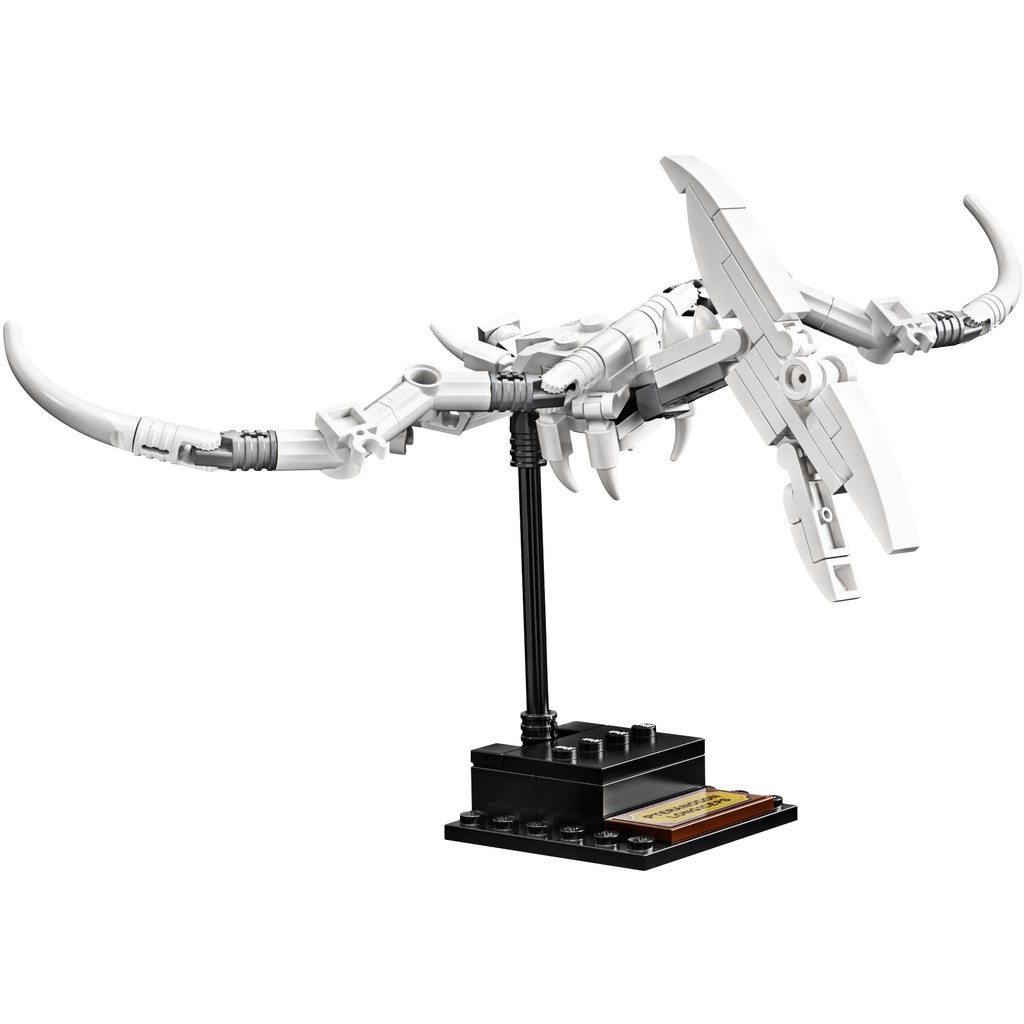 21320 Đồ chơi lắp ráp Iego Ideas Dinosaur Fossils - Hóa thạch khủng long