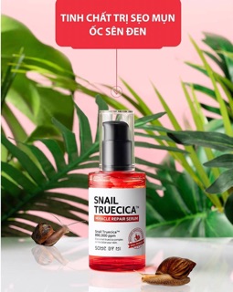 TINH CHẤT ỐC SÊN SNAIL TRUECICA