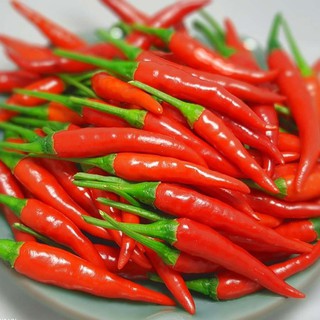 [RẺ VÔ ĐỊCH ]Hạt giống ớt chỉ thiên siêu cay F1 (0.1 gram)