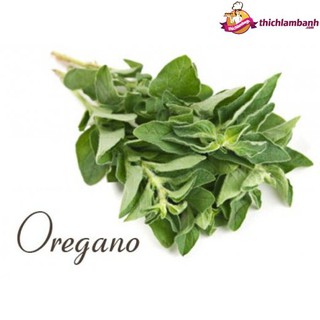 Lá Oregano- gói 5gr