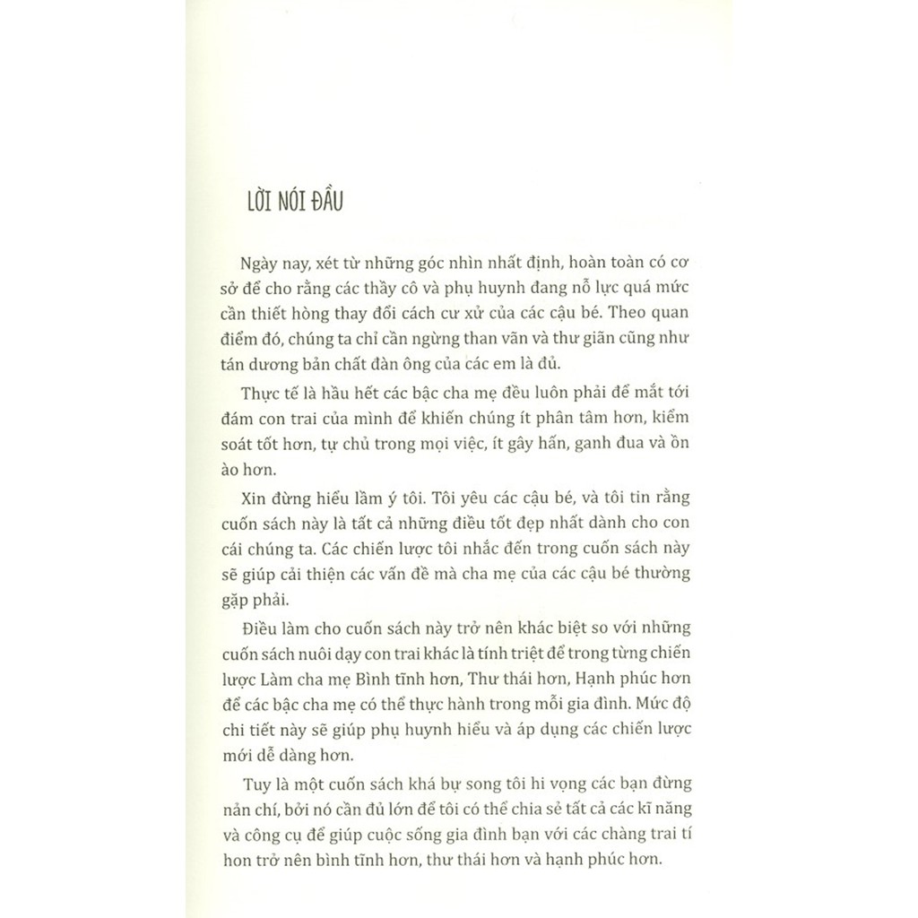 Sách - Bình Tĩnh Rèn Con - Chiến Lược Nuôi Dạy Con Trai