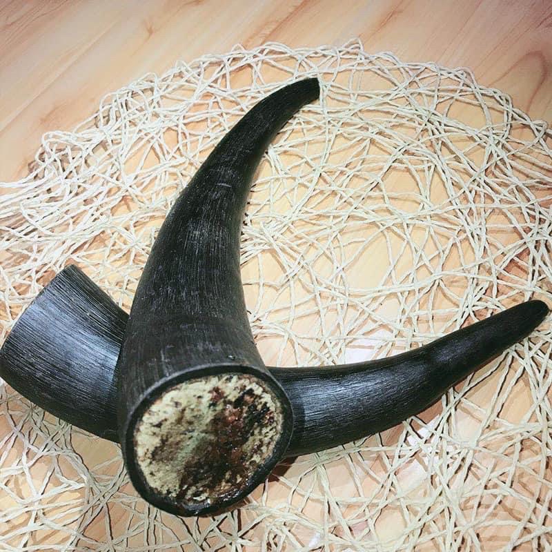 Sừng Gặm Cao Nguyên Tây Tạng cho chó