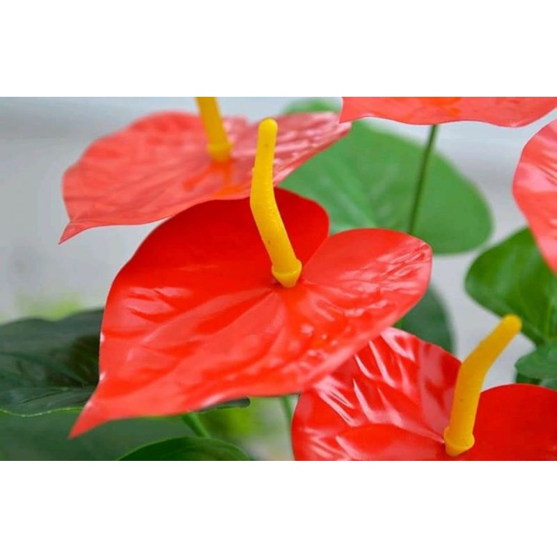 Cây hồng môn sang trọng, cây hoa giả trang trí hàng rào, tường hoa, khuôn viên khách sạn