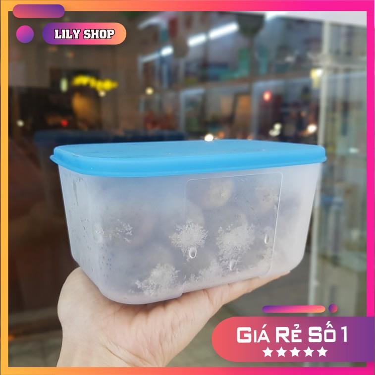 💥 GIẢM GIÁ GỐC 💥 Hộp trữ đông Freezermate 650ml 🥩 Freeship Extra 🥩Tupperware