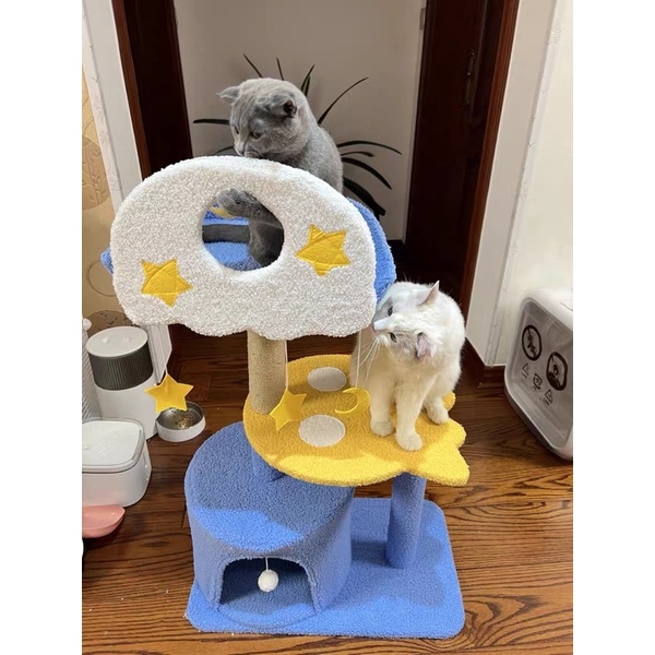 Cattree chonlder Xanh Navy siêu đẹp💙 Hình ảnh thật sản phẩm do khách hàng cung cấp💙
