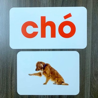 COMBO 3 Bộ thẻ học tập gồm (bộ thế giới xung quanh 300 thẻ, bộ học toán, bộ tiếng viêt)
