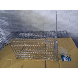 Combo 2 Bẫy chuột cống nhum, Sóc loại đại