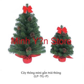 Cây Thông Xanh Mini Gắn Trái Thông LP-TG-P
