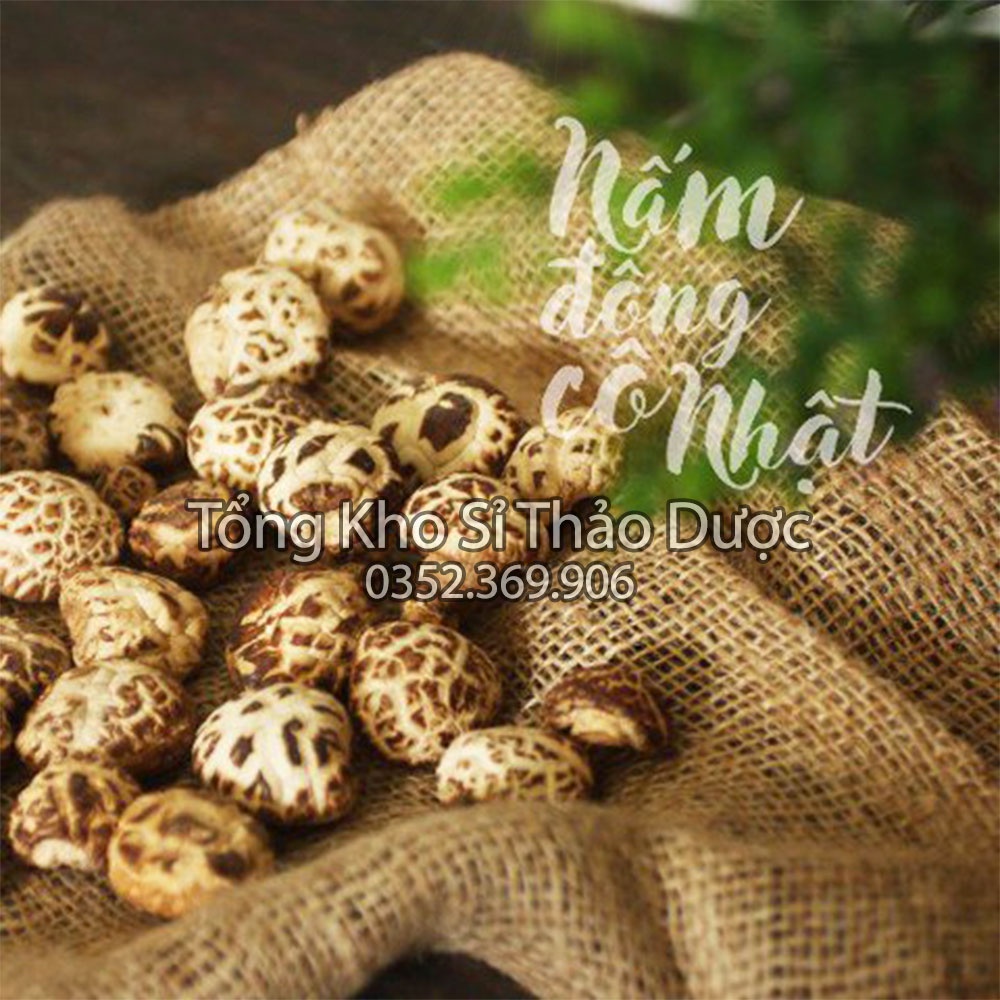 Combo Ngưu Báng + Nấm Đông Cô (Canh dưỡng sinh, nguyên liệu dinh dưỡng)