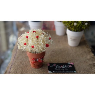 Lọ hoa Babi Bloom để bàn nhỏ