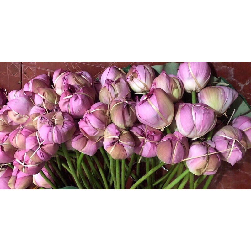 Trà ướp bông sen Tây Hồ thơm ngon