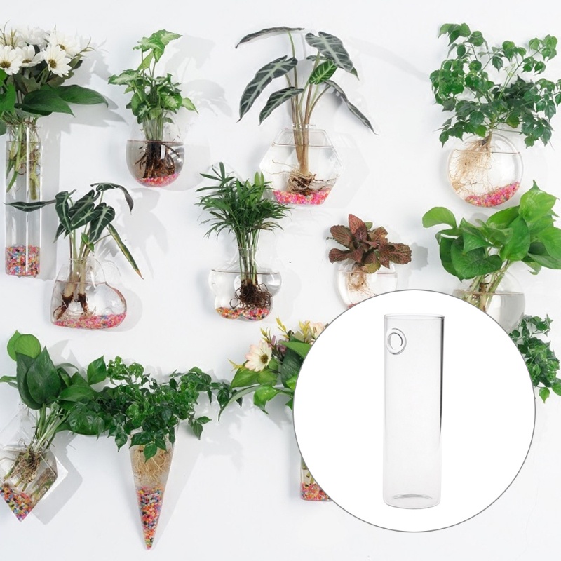 Chậu Kính Trồng Cây Treo Tường Trang Trí Nội Thất