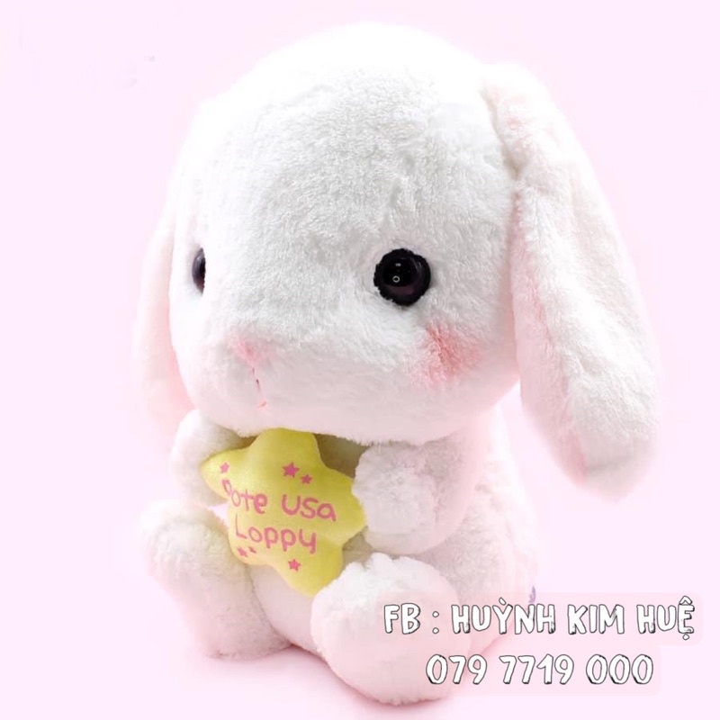 THỎ BÔNG LOPPY STAR CHÍNH HÃNG AMUSE NHẬT BẢN