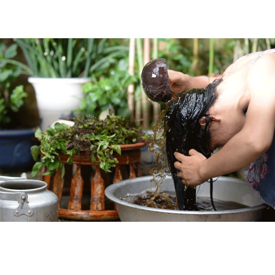 [Chính Hãng] Thảo dược Gội Đầu Bồ Kết Túi Lọc - Trị Rụng Tóc (Hộp 10 túi) | BigBuy360 - bigbuy360.vn