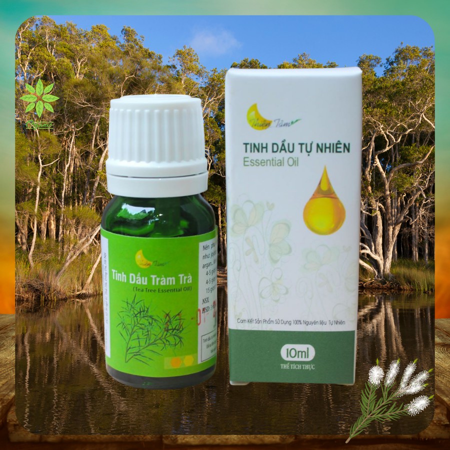 XẢ KHO [💯] Tinh dầu Tràm trà Thiện Tâm 🏡 Tea Tree Essential oil ORGANIC ẢNH THẬT