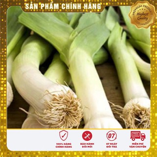 Hạt Giống Tỏi Tây(1gr)