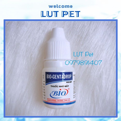 Nhỏ mắt chó mèo Bio genta drop - trị đau mắt đục giác mạc viêm đỏ ngứa vệ sinh mắt thú cưng