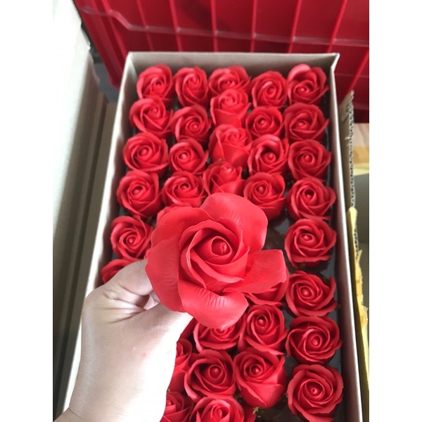 Hoa Hồng sáp