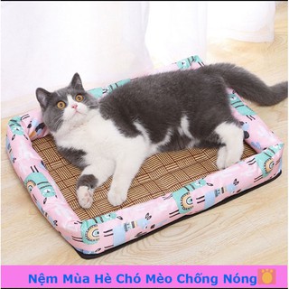Đệm Mùa Hè Cho Chó Mèo Nhiều Mẫu,Đủ Size [ Chống Nóng,Thoáng Mát ]