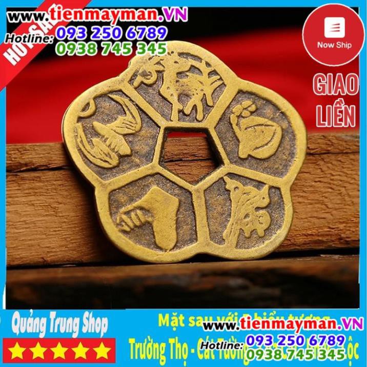 Đồng Tiền Hoa Mai ⭐FREESHIP⭐ Kim Tiền Tài Lộc | BigBuy360 - bigbuy360.vn