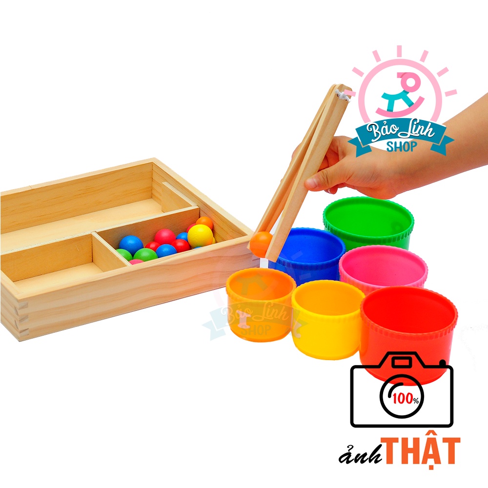 Giáo cụ Montessori 0-3 - Gắp bi gỗ cho bé tập gắp, phân loại màu sắc, to nhỏ
