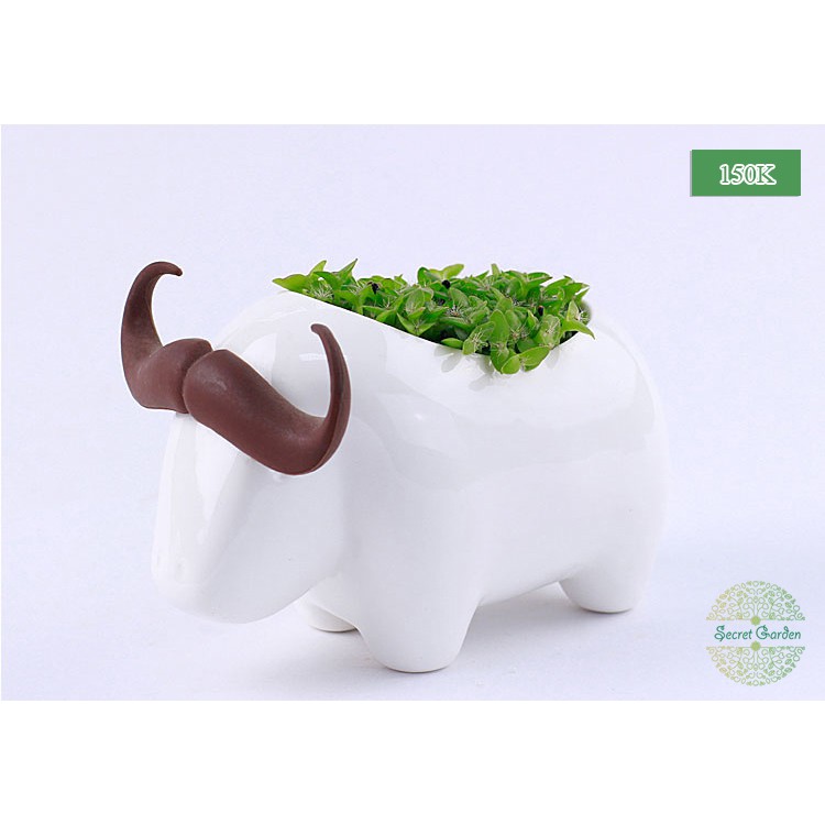 Chậu cây thú sứ trắng