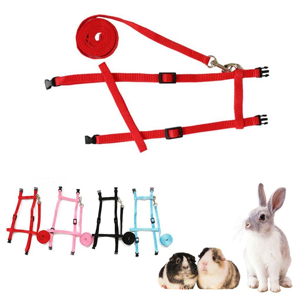 1 Dây Dắt Thỏ Đi Dạo Mềm Mại