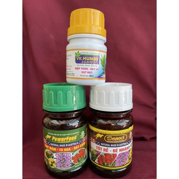 Phân bón hoa lan - combo bộ 3 giúp cây MẬP THÂN- TO DÀY BẢN LÁ- PHÁT TRIỂN MÔ XỐP RỂ