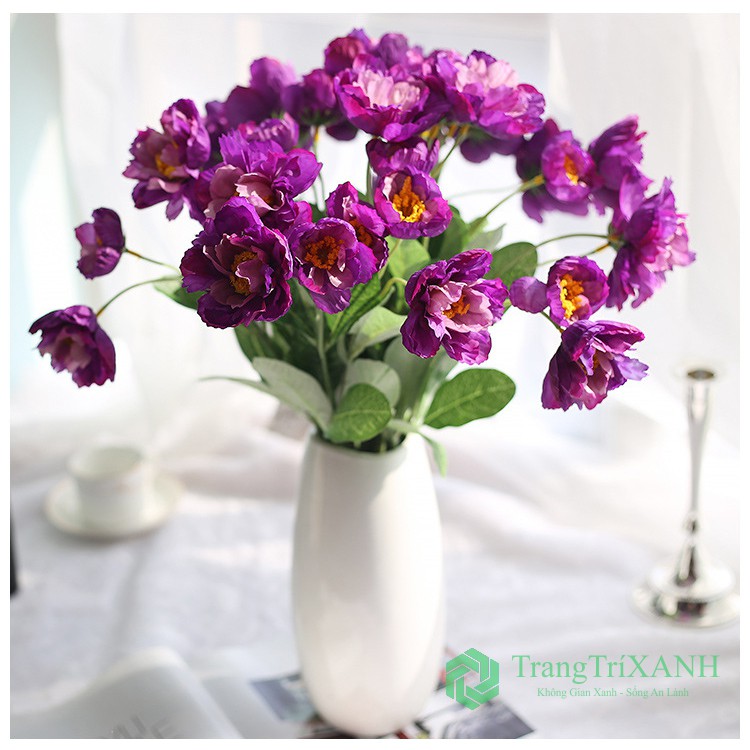 Hoa Lụa - Lan Tường Loại 1 Giống Thật