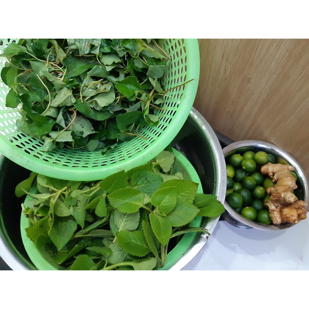 Lá húng chanh tươi, rau tần dày lá, Bán sỉ lẻ làm siro húng chanh