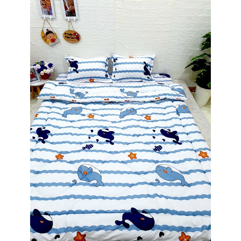 Chăn phao trần bông dày,Vải poly cotton-mẫu cá heo kẻ ngang