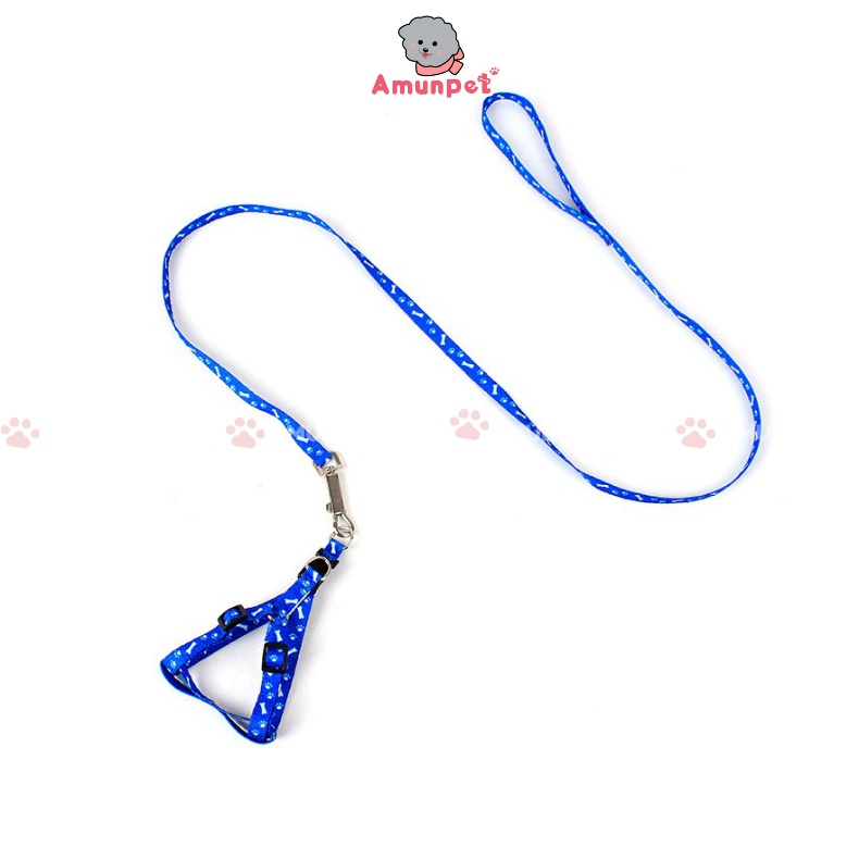 Dây Dắt Chó Mèo Đi Dạo Dễ Thương Mẫu Dây Dắt Dạng Yếm Cho Thú Cưng Giá Rẻ Amun Pet