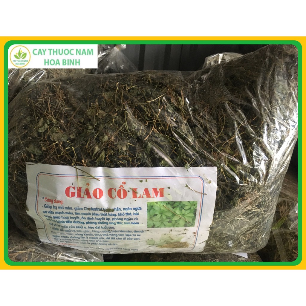 [GIÁ TẠI NGUỒN] 500g Giảo cổ lam 5 lá Hòa Bình xanh, thơm, sạch