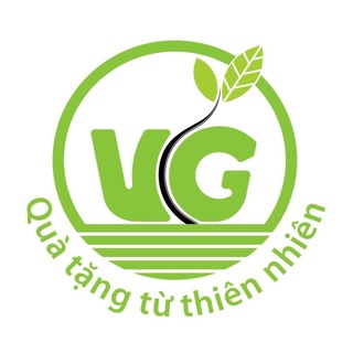 TRÀ SAM HỒNG VIỆT NAM