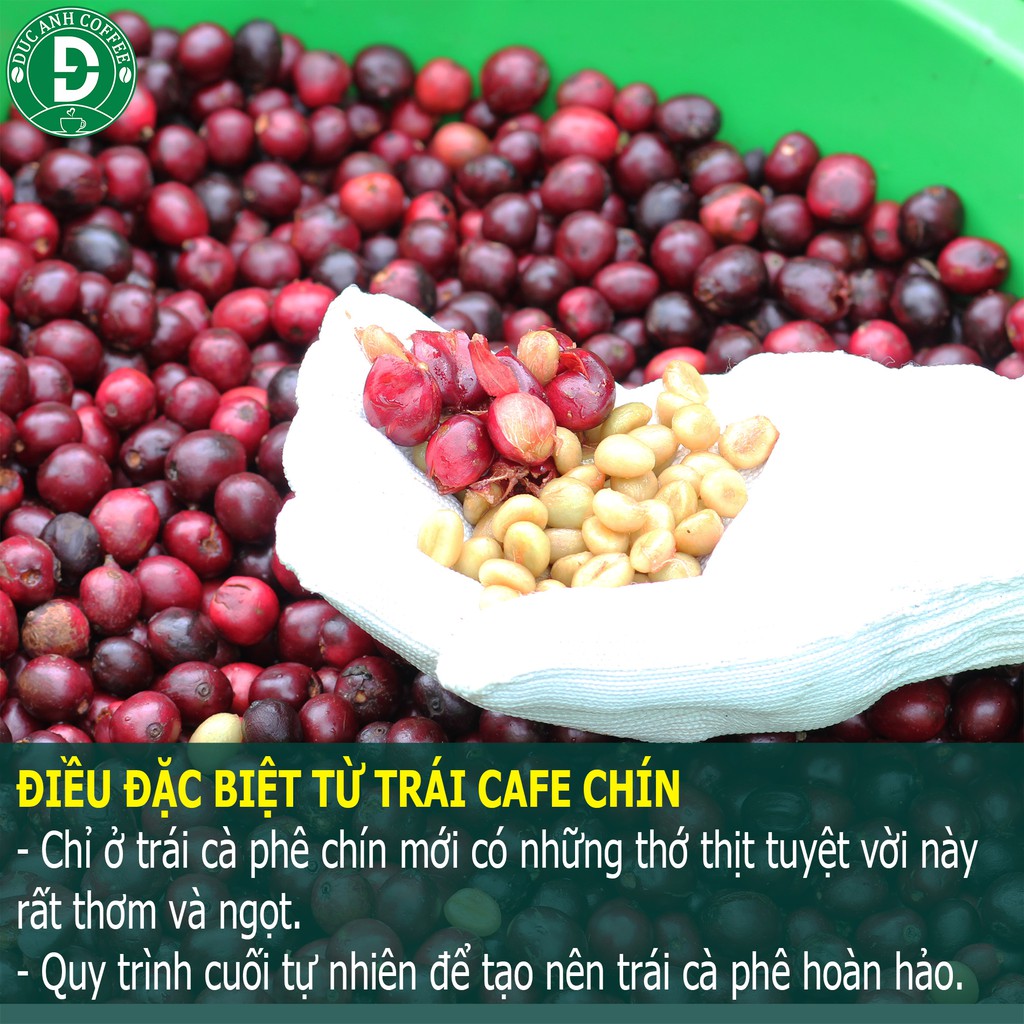 [Hộp Quà Tết] Cà Phê Tết Siêu Đặc Biệt số lượng giới hạn - cafe rang mộc nguyên chất chế biến ướt -· DUC ANH COFFE