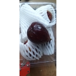 Cây Sung mỹ Black genoa trái tím, mật ngọt
